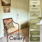 Celery color strip features shades from light to dark: Celery, shagreen, baby bok choy, ryegrass, Tansy Green, Relentless Olive, and Basque Green, over a photo of celery on a bedroom wall.