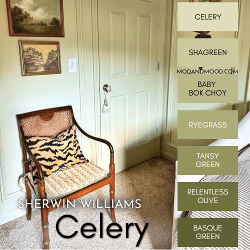 Celery color strip features shades from light to dark: Celery, shagreen, baby bok choy, ryegrass, Tansy Green, Relentless Olive, and Basque Green, over a photo of celery on a bedroom wall.