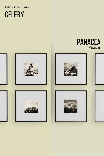 Valspar Dupe Panacea on half of a wall and celery on the other half behind a black and white photo gallery