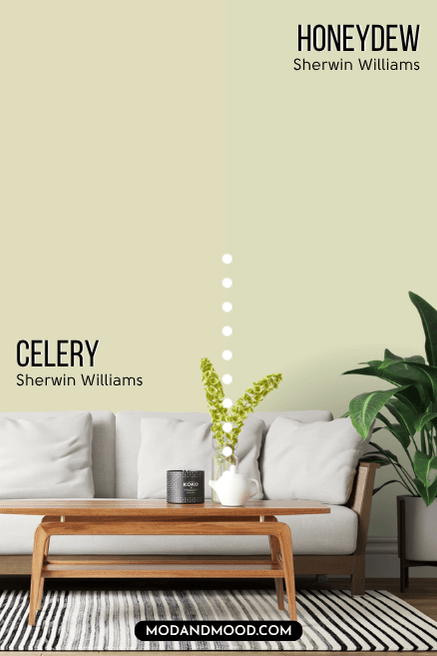 Sherwin Williams Honeydew on half of a wall and Celery on the other half.