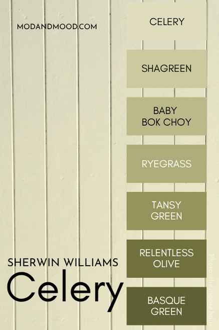 Celery color strip features shades from light to dark: Celery, shagreen, baby bok choy, ryegrass, Tansy Green, Relentless Olive, and Basque Green, over a photo of celery on shiplap.