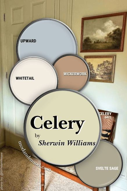 Sherwin Williams Celery with the coordinating colors recommended in the article over a background of a similar color on a wall.