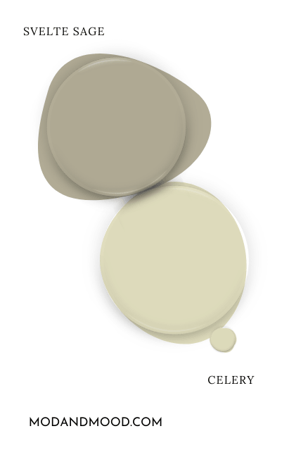 Sherwin Williams Svelte Sage swatched as a paint dot beside the same of Celery