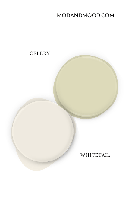 Sherwin Williams Whitetail swatched as a paint dot beside the same of Celery