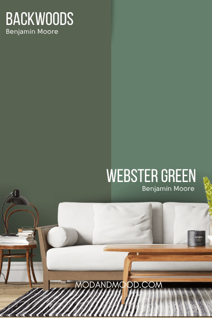 Benjamin Moore Backwoods on half of a wall and Webster Green on the other half behind a white sofa