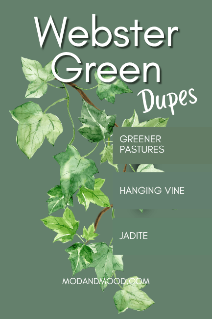 All of the dupes for Benjamin Moore Webster Green over a background of the color with a vine in between to show contrast.
